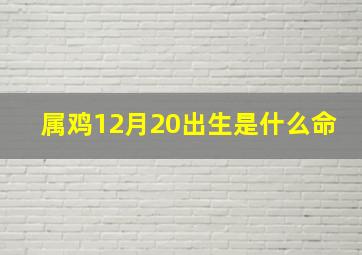 属鸡12月20出生是什么命