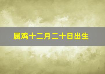 属鸡十二月二十日出生