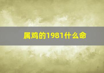 属鸡的1981什么命