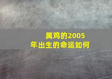 属鸡的2005年出生的命运如何