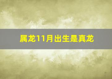 属龙11月出生是真龙