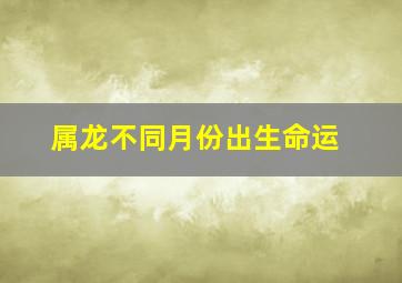 属龙不同月份出生命运