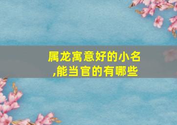 属龙寓意好的小名,能当官的有哪些