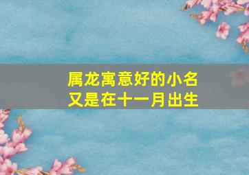 属龙寓意好的小名又是在十一月出生