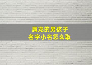 属龙的男孩子名字小名怎么取