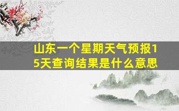 山东一个星期天气预报15天查询结果是什么意思