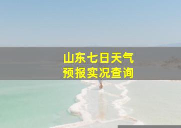 山东七日天气预报实况查询