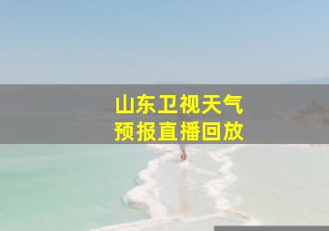 山东卫视天气预报直播回放