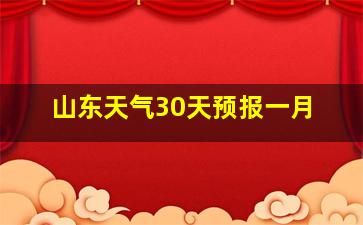 山东天气30天预报一月