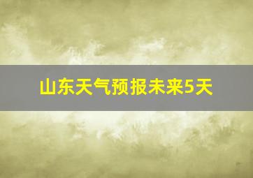 山东天气预报未来5天