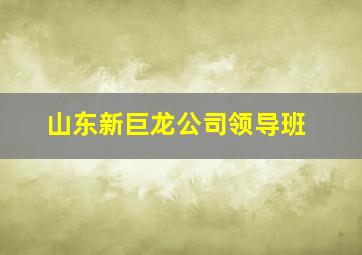 山东新巨龙公司领导班