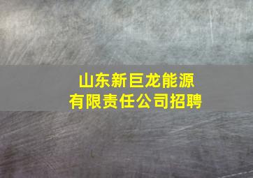 山东新巨龙能源有限责任公司招聘