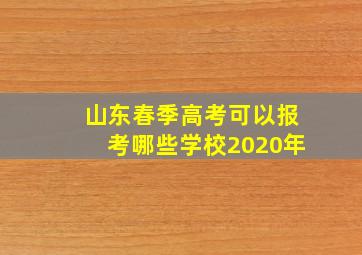 山东春季高考可以报考哪些学校2020年