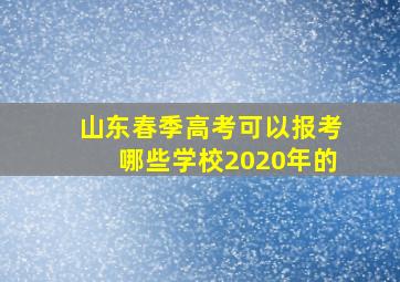 山东春季高考可以报考哪些学校2020年的