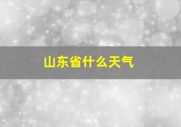 山东省什么天气