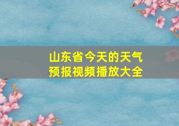 山东省今天的天气预报视频播放大全