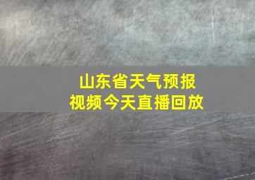 山东省天气预报视频今天直播回放