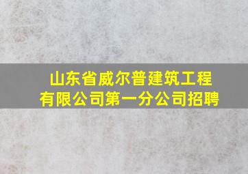 山东省威尔普建筑工程有限公司第一分公司招聘