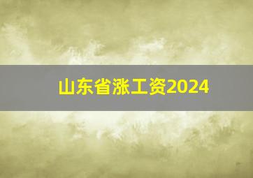 山东省涨工资2024