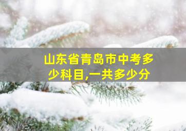 山东省青岛市中考多少科目,一共多少分