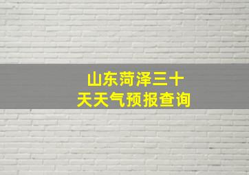 山东菏泽三十天天气预报查询