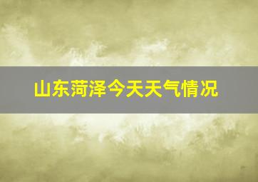 山东菏泽今天天气情况