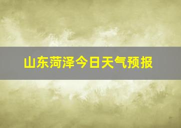 山东菏泽今日天气预报