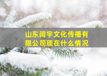 山东阔宇文化传播有限公司现在什么情况