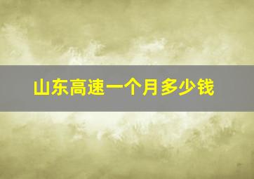 山东高速一个月多少钱