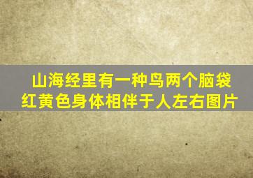 山海经里有一种鸟两个脑袋红黄色身体相伴于人左右图片