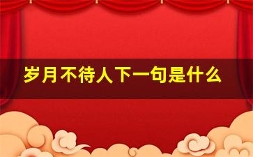 岁月不待人下一句是什么