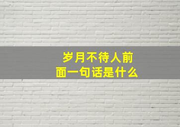 岁月不待人前面一句话是什么