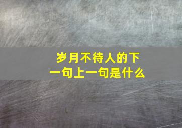 岁月不待人的下一句上一句是什么