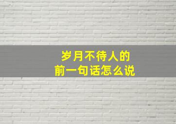 岁月不待人的前一句话怎么说