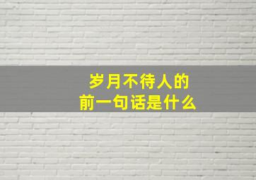 岁月不待人的前一句话是什么