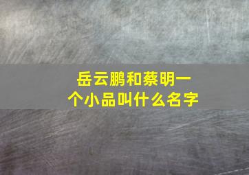 岳云鹏和蔡明一个小品叫什么名字