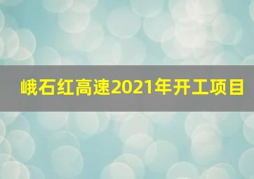 峨石红高速2021年开工项目