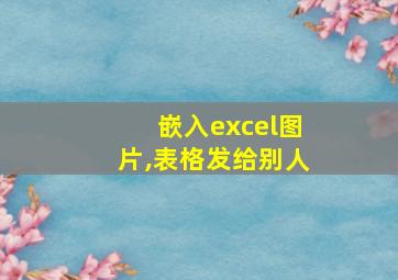 嵌入excel图片,表格发给别人