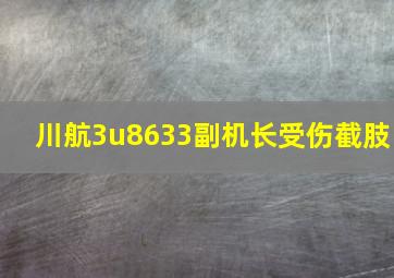 川航3u8633副机长受伤截肢