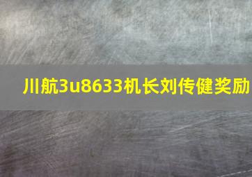 川航3u8633机长刘传健奖励