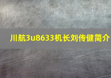 川航3u8633机长刘传健简介