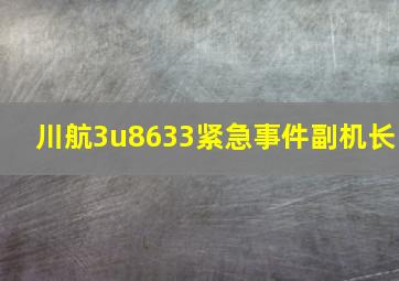 川航3u8633紧急事件副机长