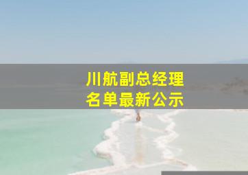 川航副总经理名单最新公示