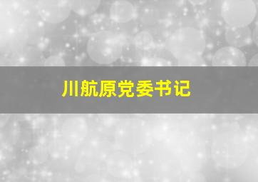 川航原党委书记