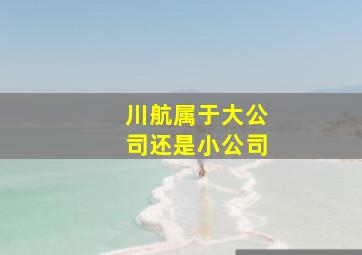 川航属于大公司还是小公司