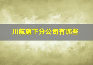 川航旗下分公司有哪些