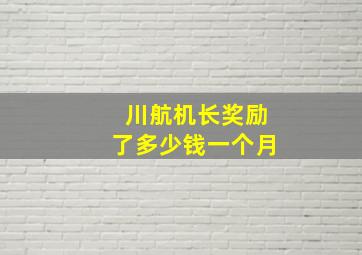 川航机长奖励了多少钱一个月