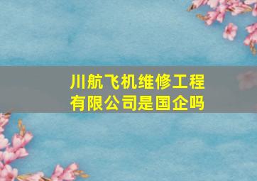 川航飞机维修工程有限公司是国企吗