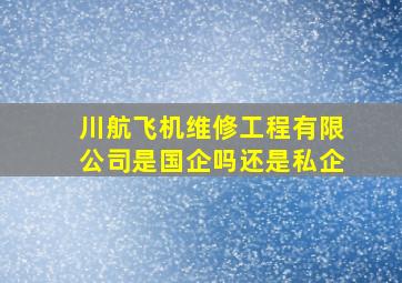 川航飞机维修工程有限公司是国企吗还是私企