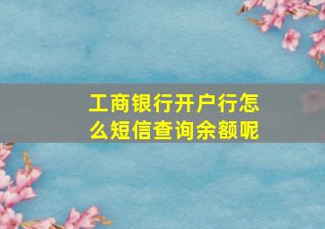 工商银行开户行怎么短信查询余额呢